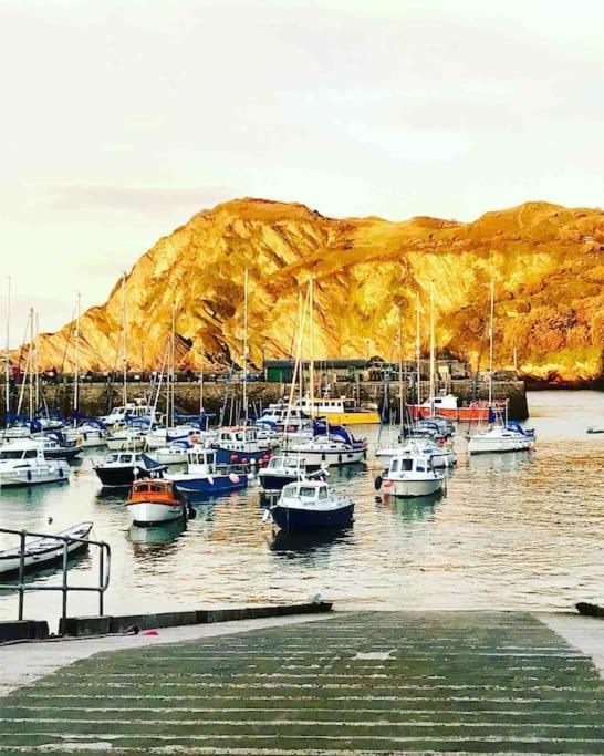 Paramount Apartments Ilfracombe, Arty Seaside Holiday Apartments Eksteriør bilde